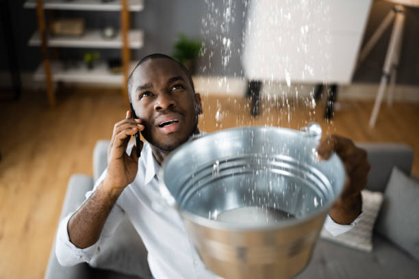 Best Local water damage restoration  in Watonga, OK