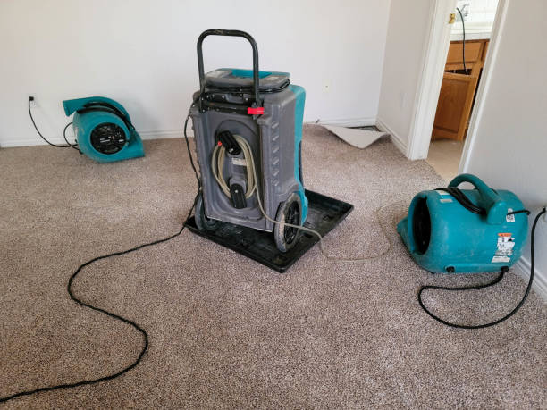 Water damage restoration mold remediation in Watonga, OK