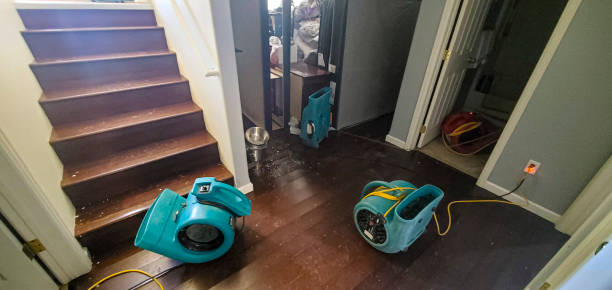Best Fire Damage Restoration  in Watonga, OK