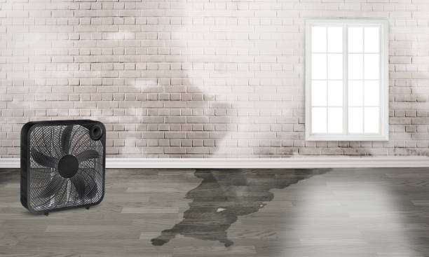 Best 24/7 water damage repair  in Watonga, OK