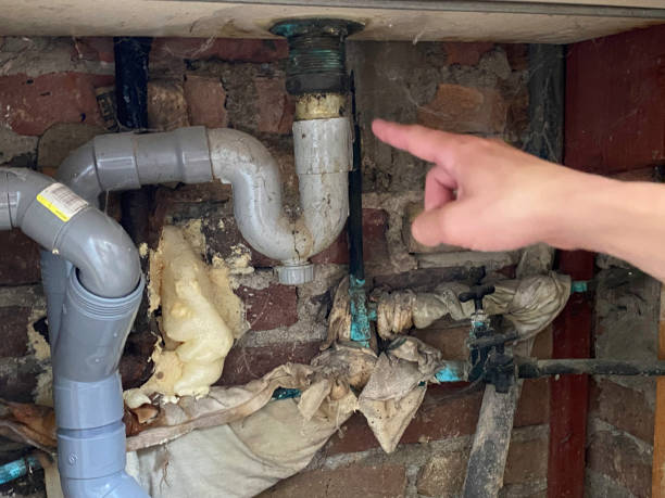 Best Water damage restoration mold remediation  in Watonga, OK